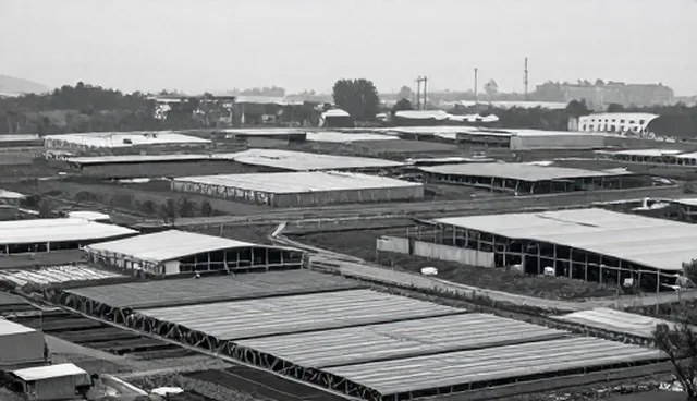 食品分装服务如何选择?使用场景与问题解析